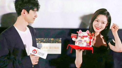 刘大锤最新爆料袁冰妍,揭秘娱乐圈背后的惊人真相  第3张