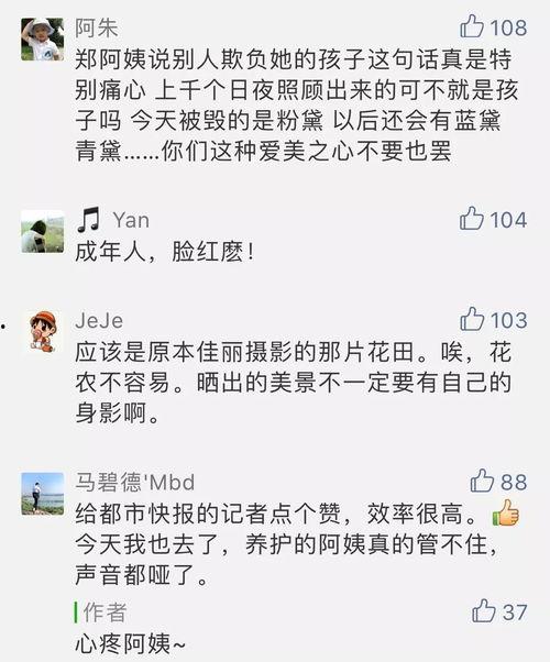 今日爆料快报官网最新版,揭秘最新热点事件，深度解析幕后真相