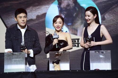 娱乐圈最新照片爆料大全,明星私照大揭秘！  第3张