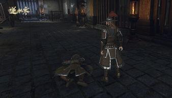 哪里能知道逆水寒最新爆料,揭秘最新爆料，游戏新篇章即将开启  第2张