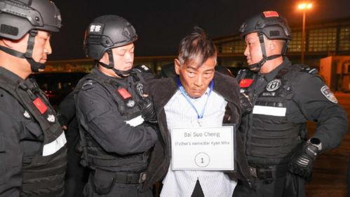 商人爆料缅北案件视频完整版,商人亲述惊心动魄的完整版视频曝光